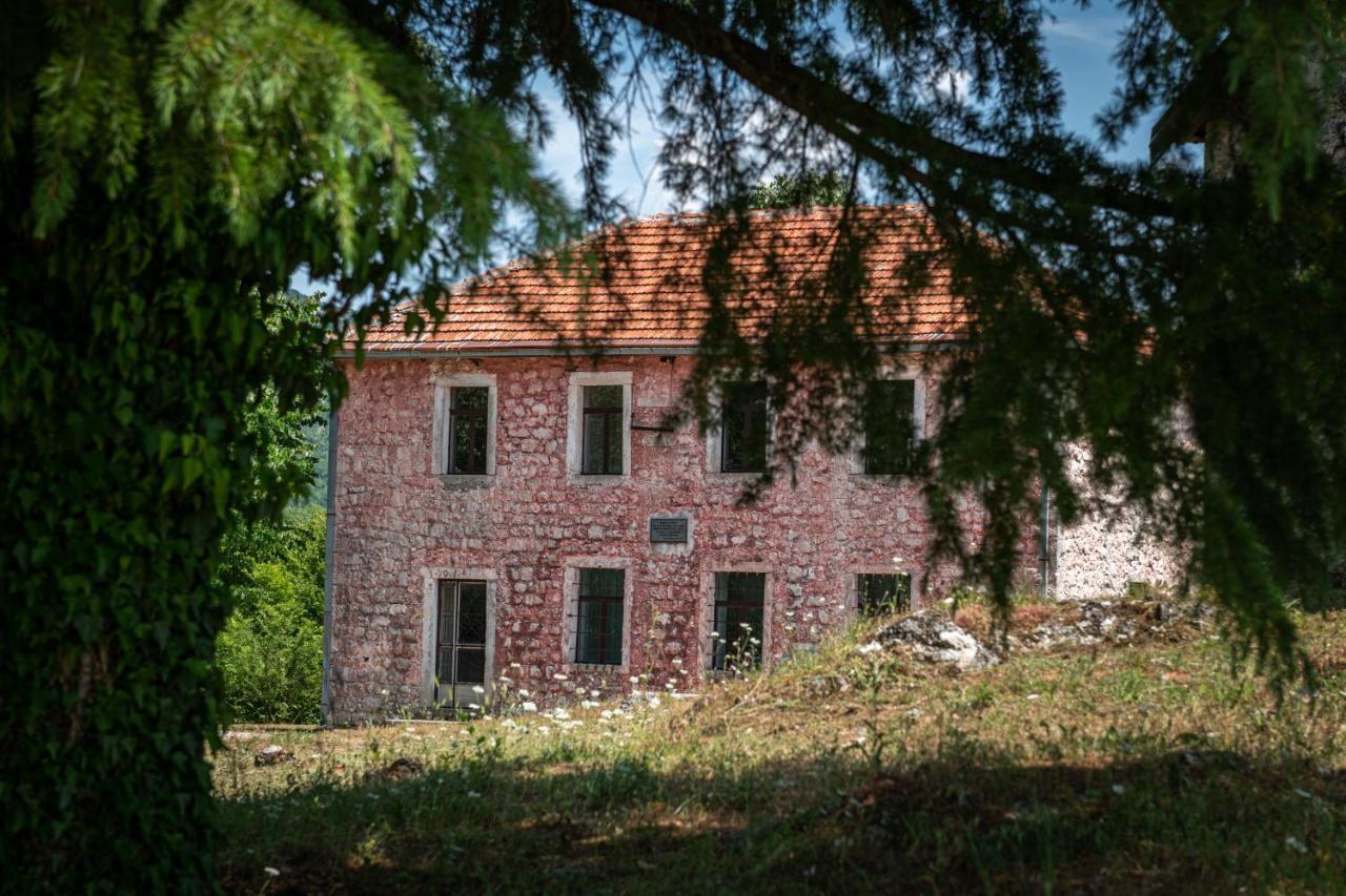 Guest House Gornji Ceklin Cetinje Exteriér fotografie